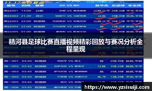 精河县足球比赛直播视频精彩回放与赛况分析全程呈现