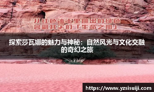探索莎瓦娜的魅力与神秘：自然风光与文化交融的奇幻之旅