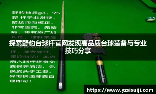 探索野豹台球杆官网发现高品质台球装备与专业技巧分享